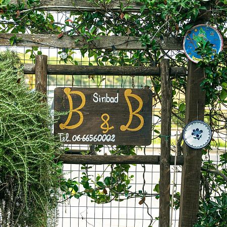B&B Sinbad La Scialuppa Fregenae Kültér fotó